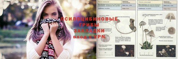 кокс Алексин