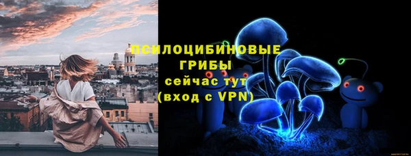 гашик Алексеевка