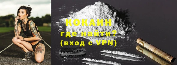 кокс Алексин