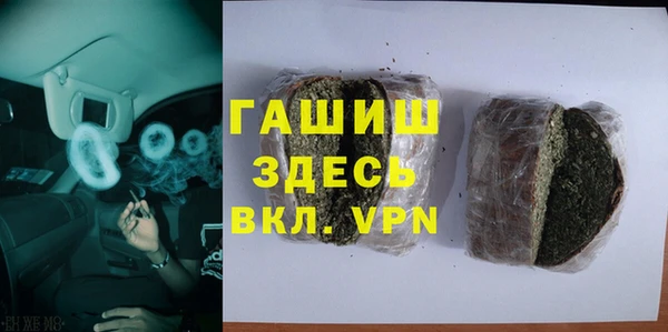 гашик Алексеевка